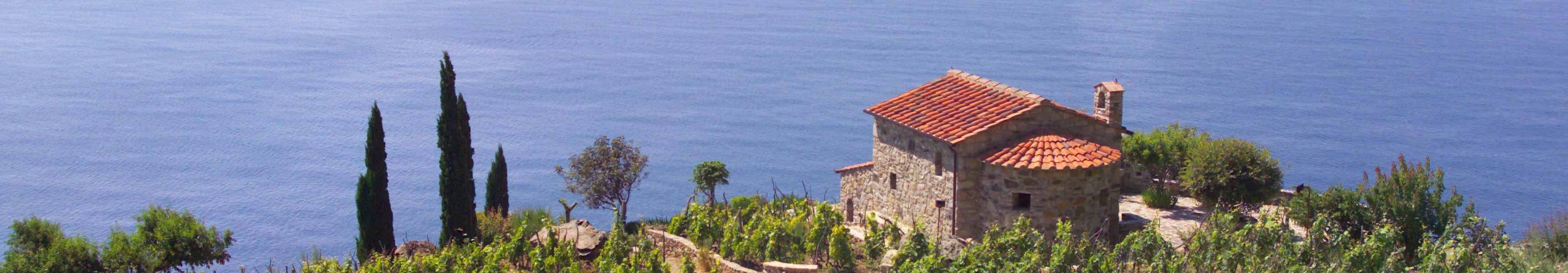 Weinberge mit Steinhaus und rotem Ziegeldach über dem Meer auf Elba.