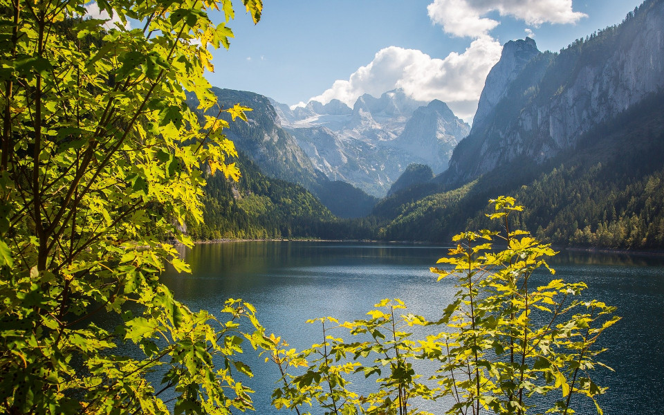 Wald und Seelandschaft in &Ouml;sterreich