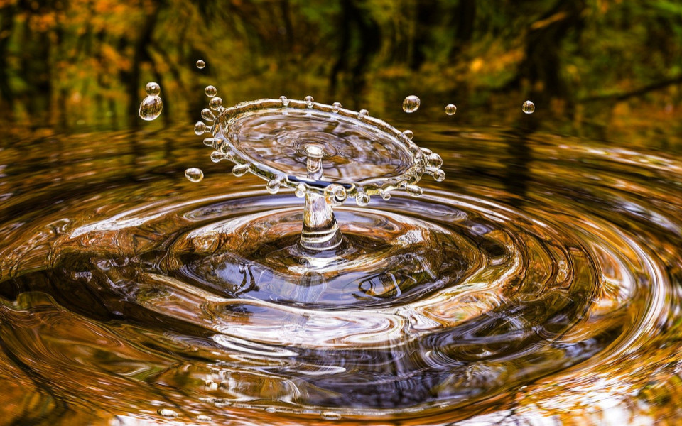 Wassertropfen im See