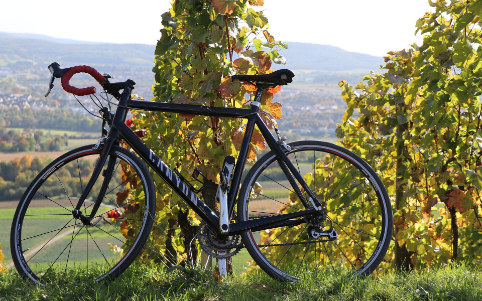 Fahrrad am Weinberg in Italien