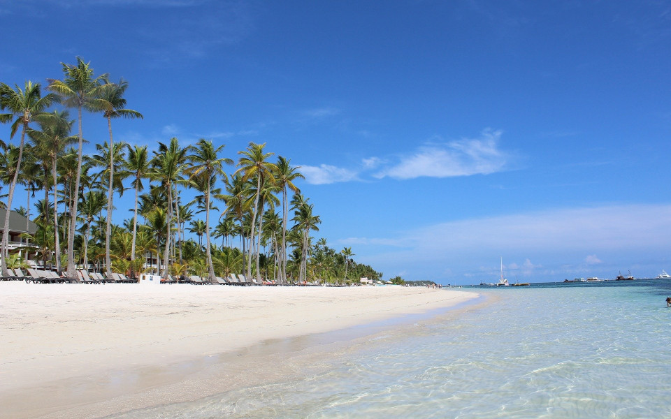 Bild Dreams Macao Beach Punta Cana