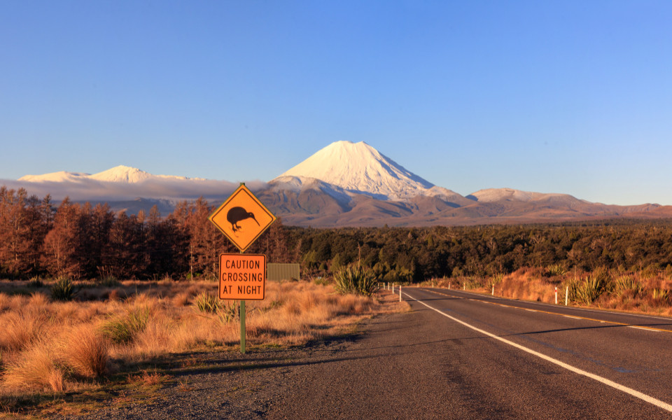 Kiwi-Verkehrsschild und Vulkan Mt. Ngauruhoe bei Sonnenuntergang, Tongariro-Nationalpark, Neuseeland