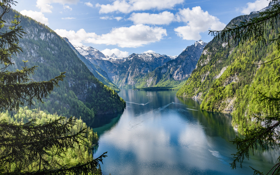 Blick auf den Königsee im Berchtesgadener Land, mit den steilen Berghängen und dem klaren Wasser, das die umliegende Natur widerspiegelt.
