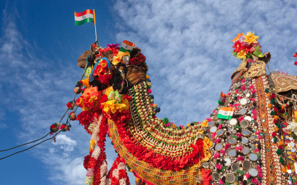 Wunderschön und amüsant geschmücktes Kamel mit indischen Flaggen beim Kamelfestival in Bikaner, Rajasthan, Indien